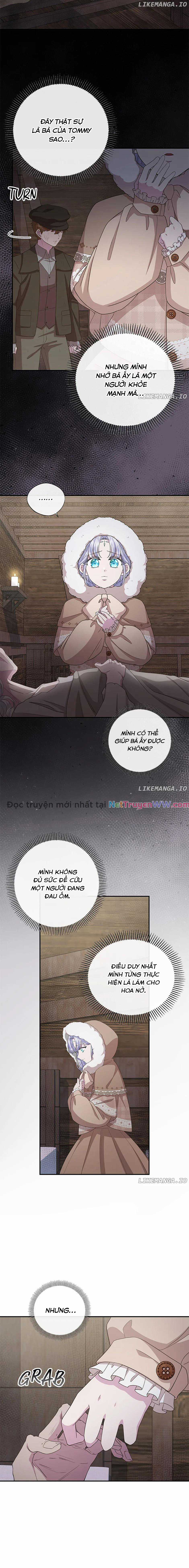 Đoá Violet nở rộ phía sau vườn Chapter 33 trang 13