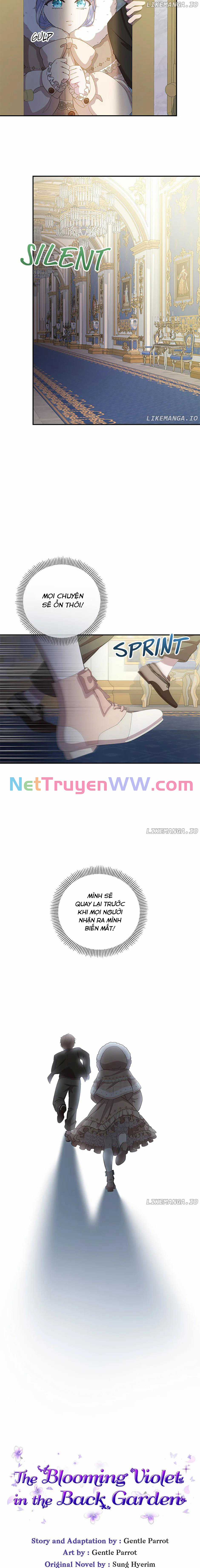 Đoá Violet nở rộ phía sau vườn Chapter 33 trang 3