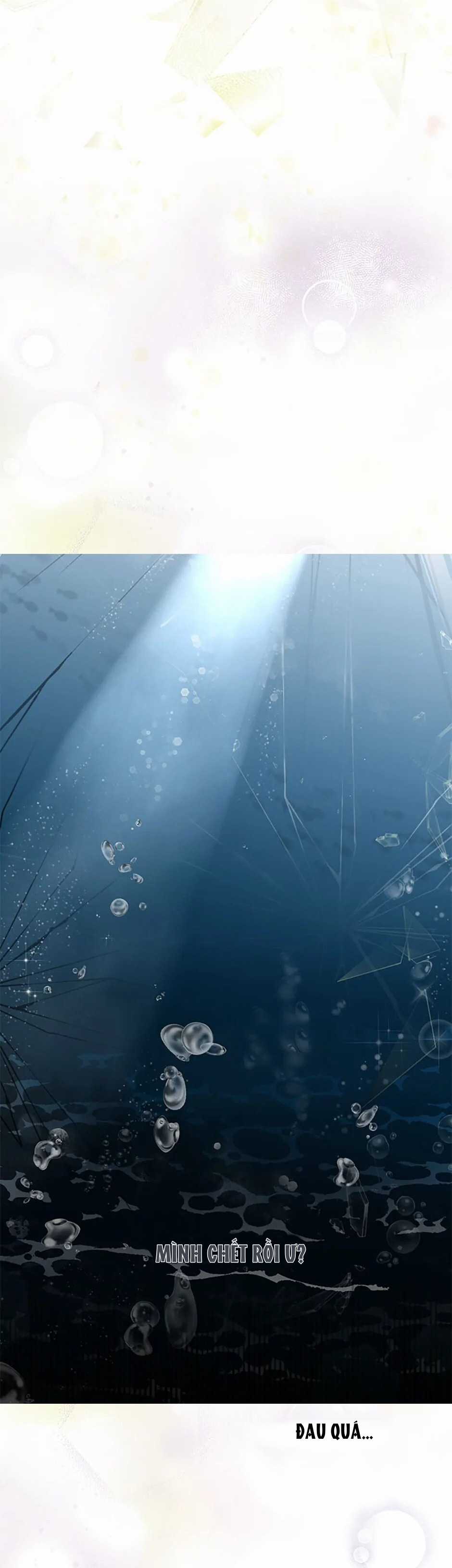 Đoá Violet nở rộ phía sau vườn Chapter 4 trang 2