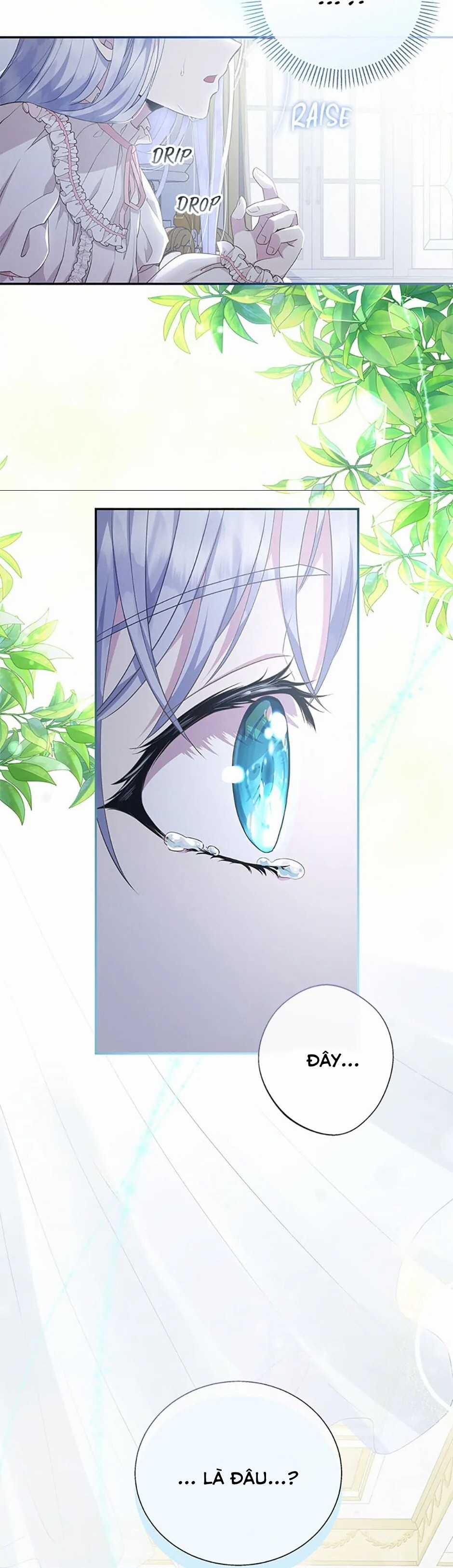 Đoá Violet nở rộ phía sau vườn Chapter 4 trang 29