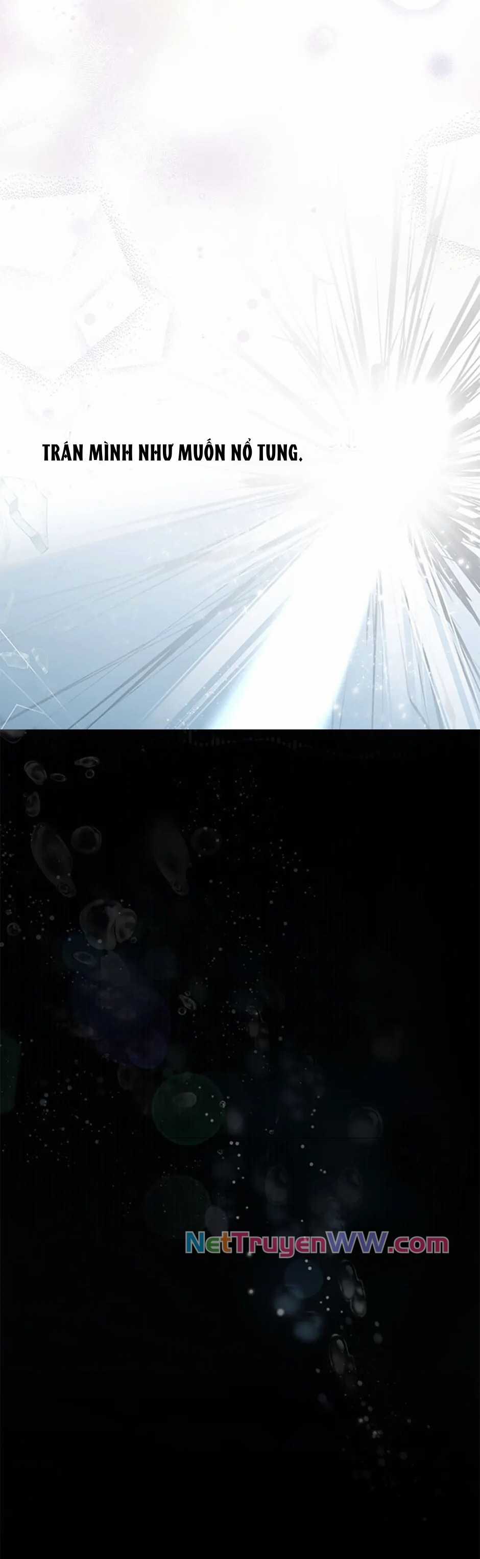 Đoá Violet nở rộ phía sau vườn Chapter 4 trang 3