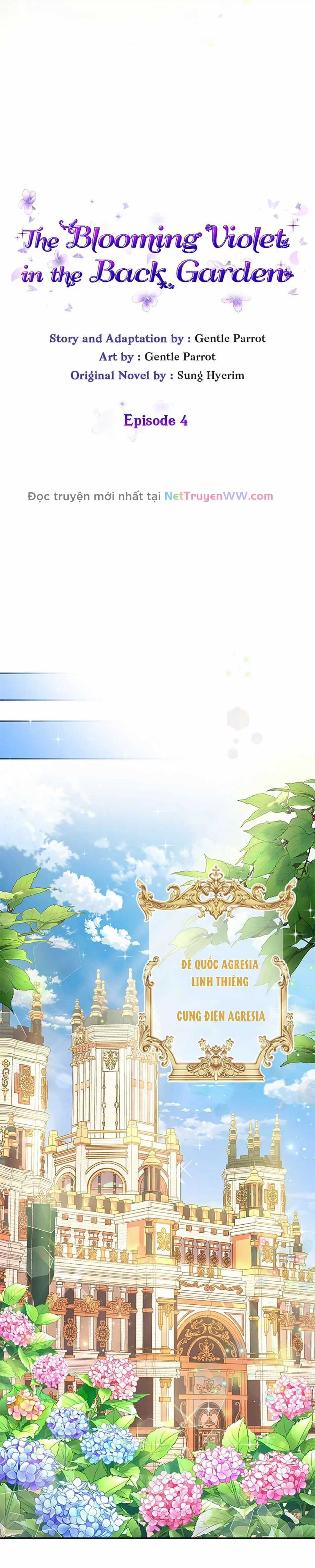 Đoá Violet nở rộ phía sau vườn Chapter 4 trang 9