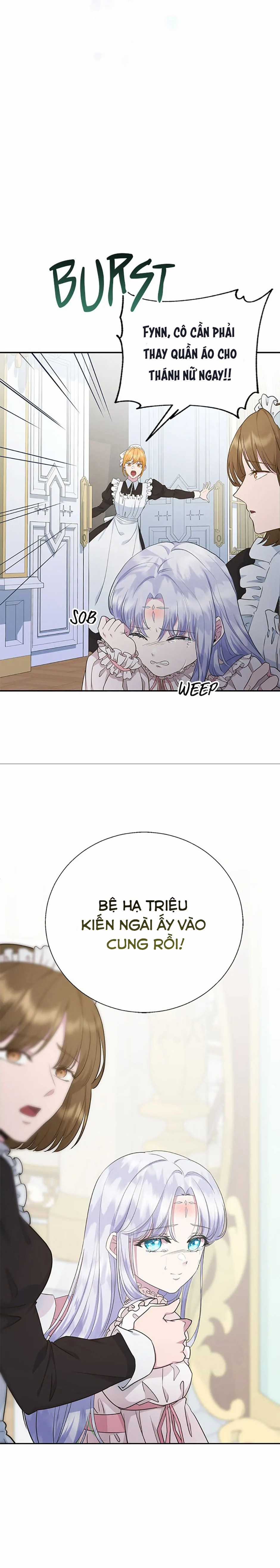 Đoá Violet nở rộ phía sau vườn Chapter 5 trang 14