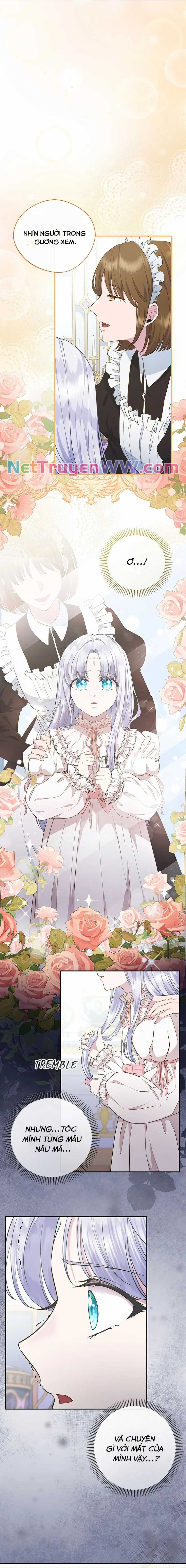 Đoá Violet nở rộ phía sau vườn Chapter 5 trang 9