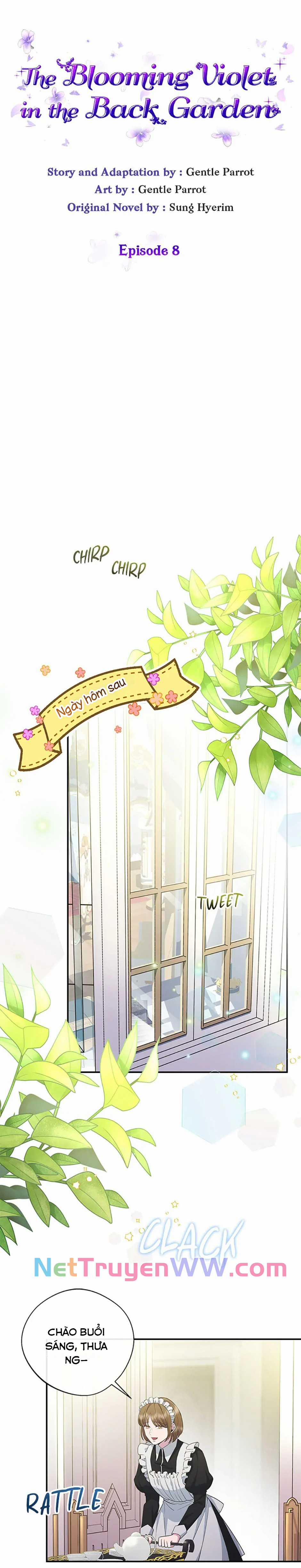 Đoá Violet nở rộ phía sau vườn Chapter 8 trang 6