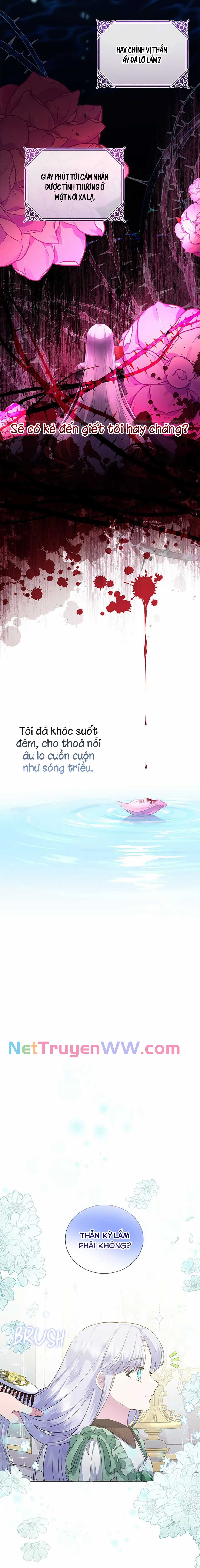 Đoá Violet nở rộ phía sau vườn Chapter 8 trang 8