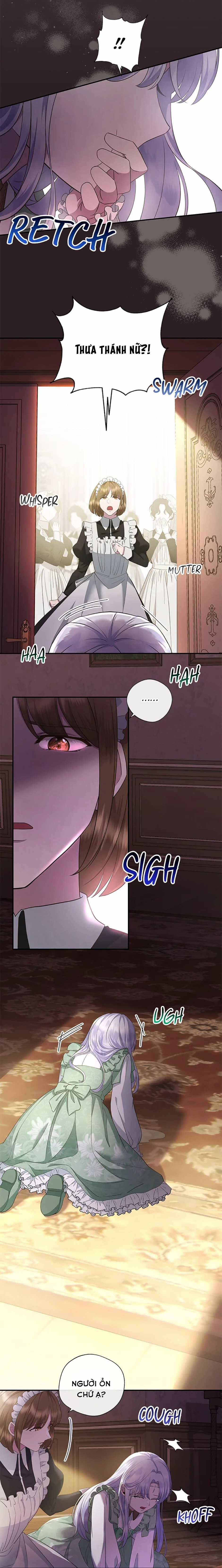 Đoá Violet nở rộ phía sau vườn Chapter 9 trang 11
