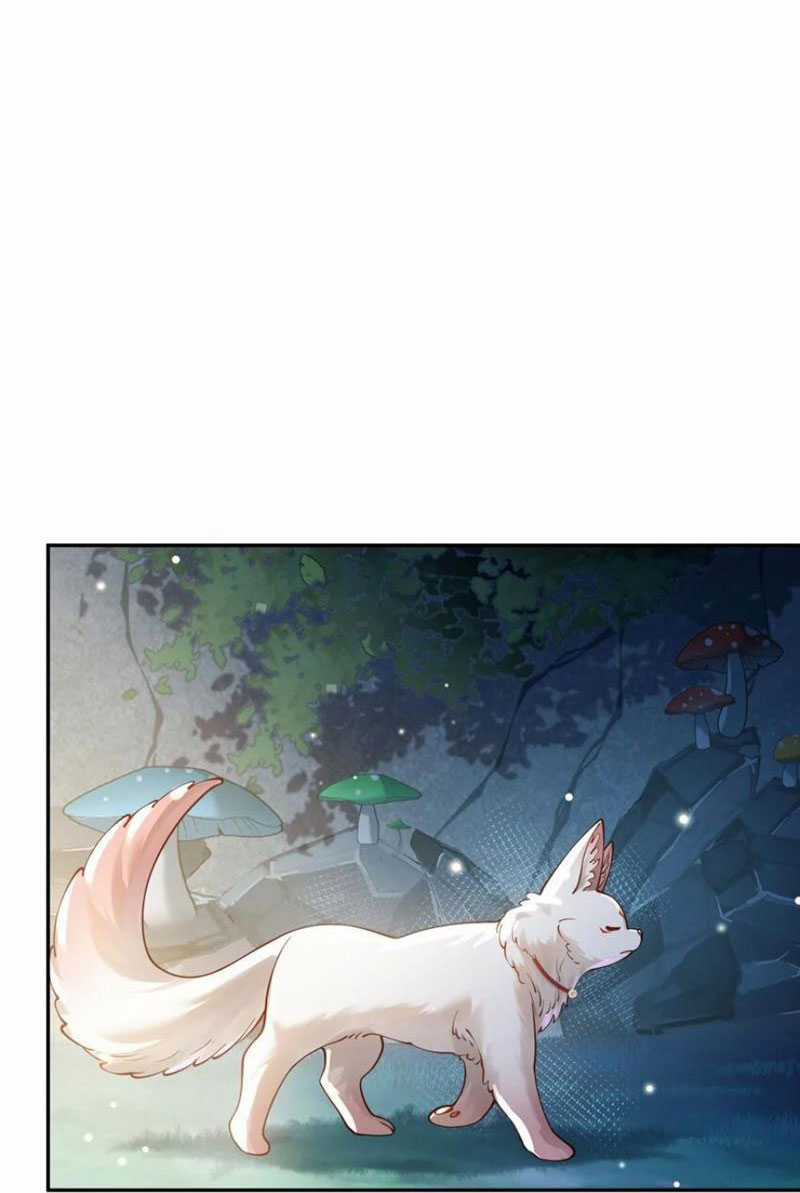 đoán mệnh mà thôi, cửu vĩ yêu đế làm sao lại thành nương tử của ta?! Chapter 22 trang 9