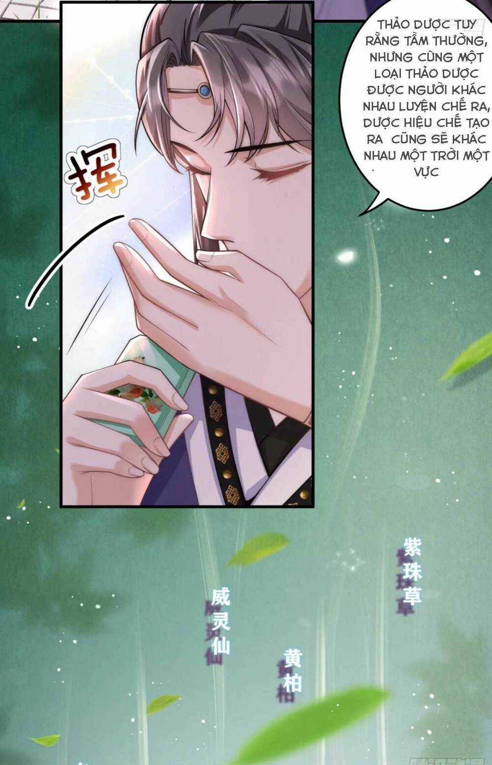 Đoàn Sủng Công Chúa Ba Tuổi Rưỡi Chapter 11 trang 13