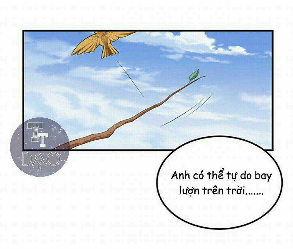 Đoạt Hôn Ác Thiếu Chapter 2 trang 10