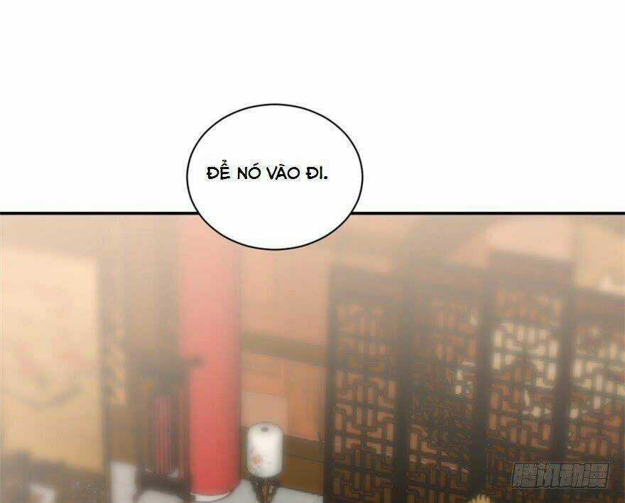 Độc Bộ Thiên Hạ: Đặc Công Thần Y Chapter 16 trang 56