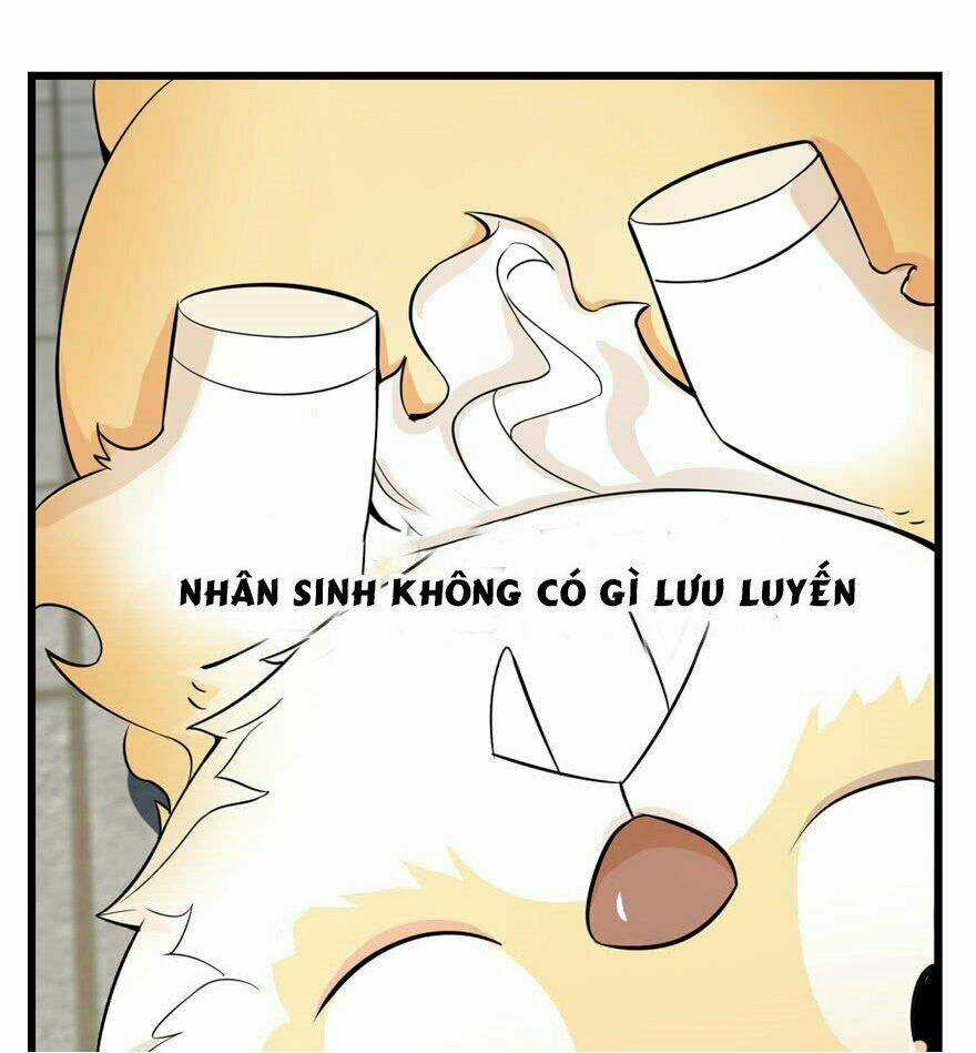 Độc Bộ Thiên Hạ: Đặc Công Thần Y Chapter 22 trang 55