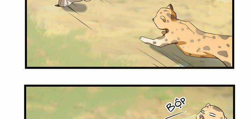 Độc Bộ Thiên Hạ: Đặc Công Thần Y Chapter 23 trang 131