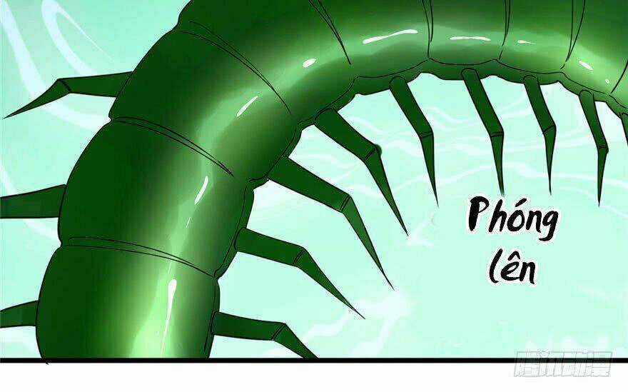 Độc Bộ Thiên Hạ: Đặc Công Thần Y Chapter 24 trang 14