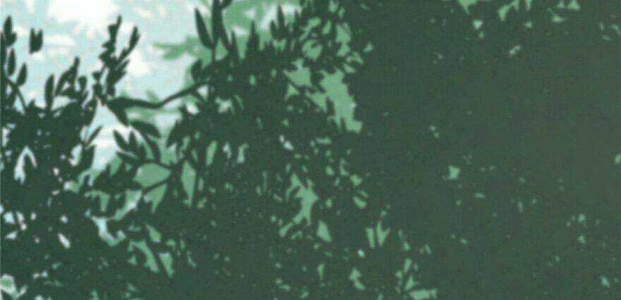 Độc Bộ Thiên Hạ: Đặc Công Thần Y Chapter 26 trang 41