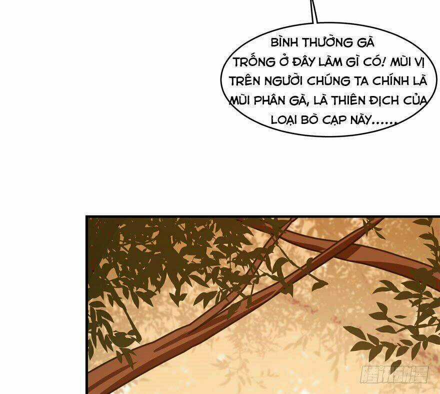 Độc Bộ Thiên Hạ: Đặc Công Thần Y Chapter 27 trang 11