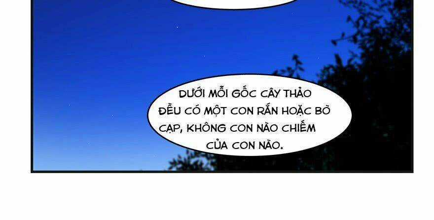 Độc Bộ Thiên Hạ: Đặc Công Thần Y Chapter 27 trang 81