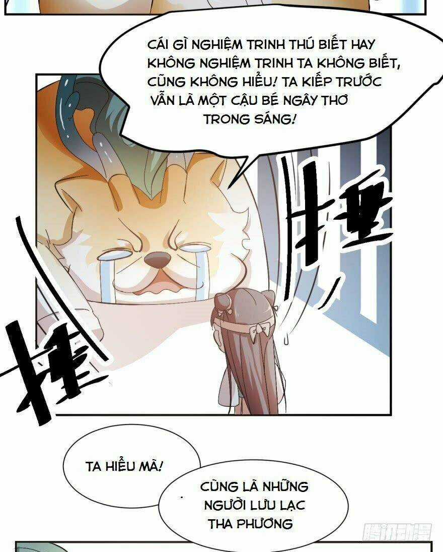 Độc Bộ Thiên Hạ: Đặc Công Thần Y Chapter 3 trang 36