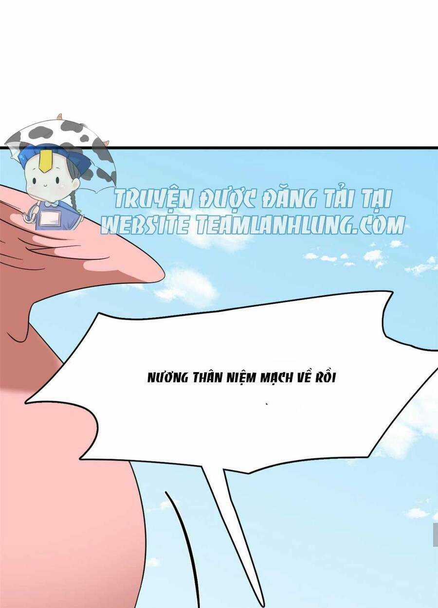 Độc Bộ Thiên Hạ: Đặc Công Thần Y Chapter 404 trang 26