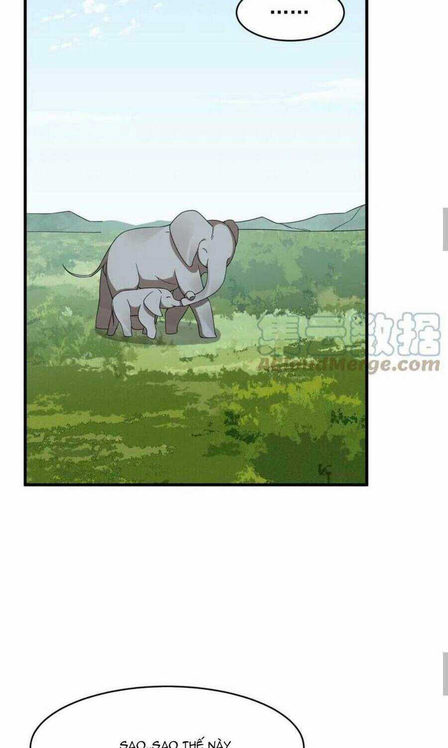 Độc Bộ Thiên Hạ: Đặc Công Thần Y Chapter 425 trang 10