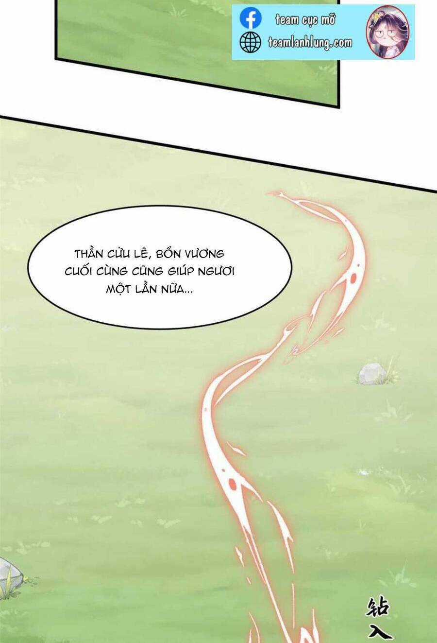 Độc Bộ Thiên Hạ: Đặc Công Thần Y Chapter 433 trang 13