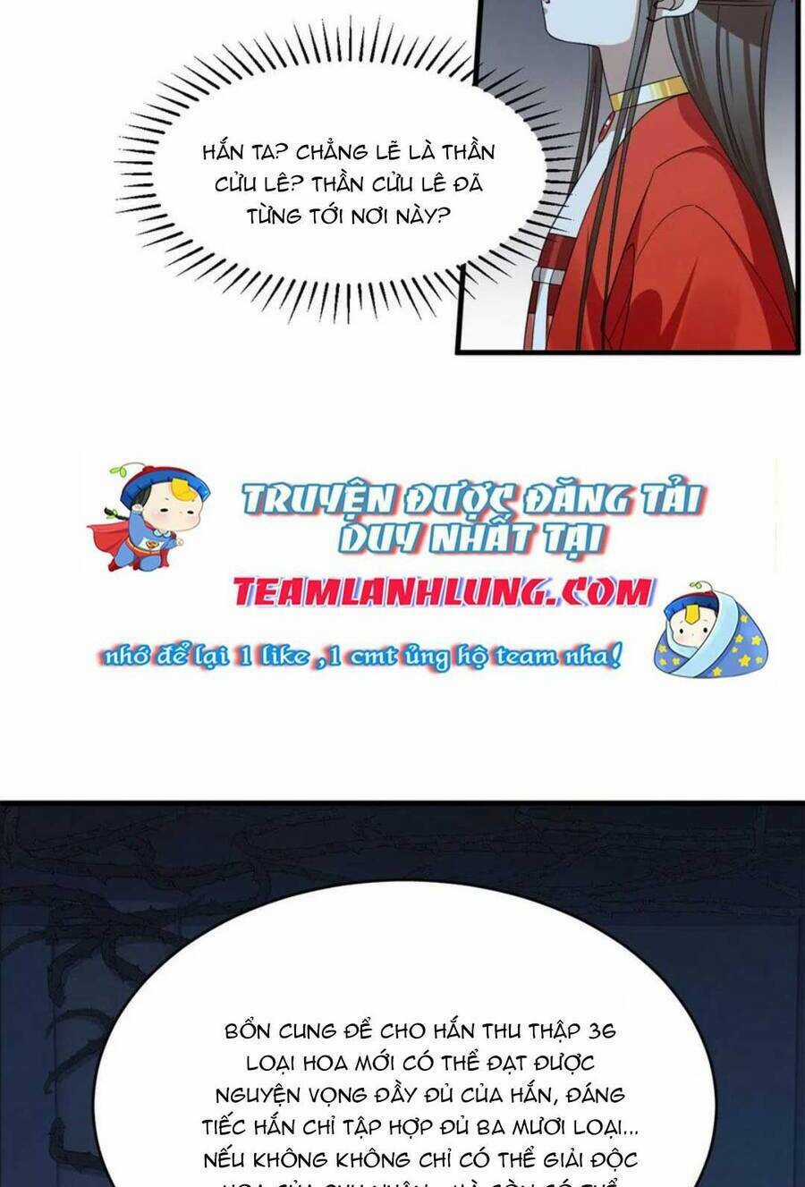 Độc Bộ Thiên Hạ: Đặc Công Thần Y Chapter 435 trang 45