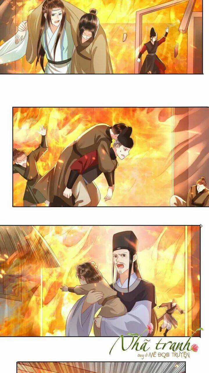 Độc Phi Ngu Ngốc Không Thể Chọc Chapter 116 trang 8