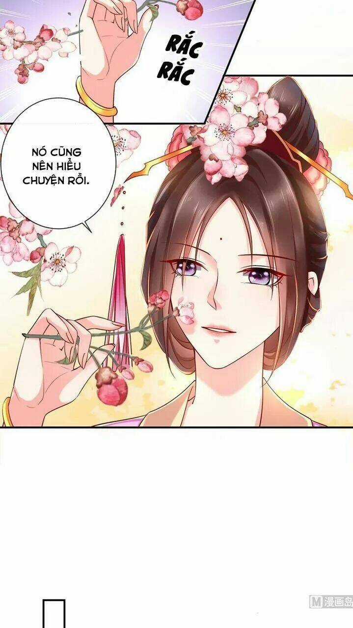 Độc Phi Ngu Ngốc Không Thể Chọc Chapter 133 trang 6