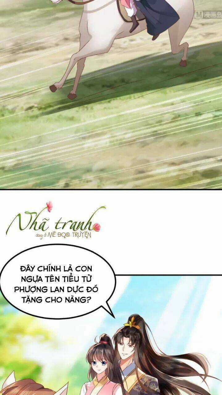 Độc Phi Ngu Ngốc Không Thể Chọc Chapter 136 trang 12