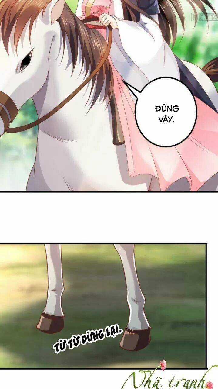 Độc Phi Ngu Ngốc Không Thể Chọc Chapter 136 trang 13