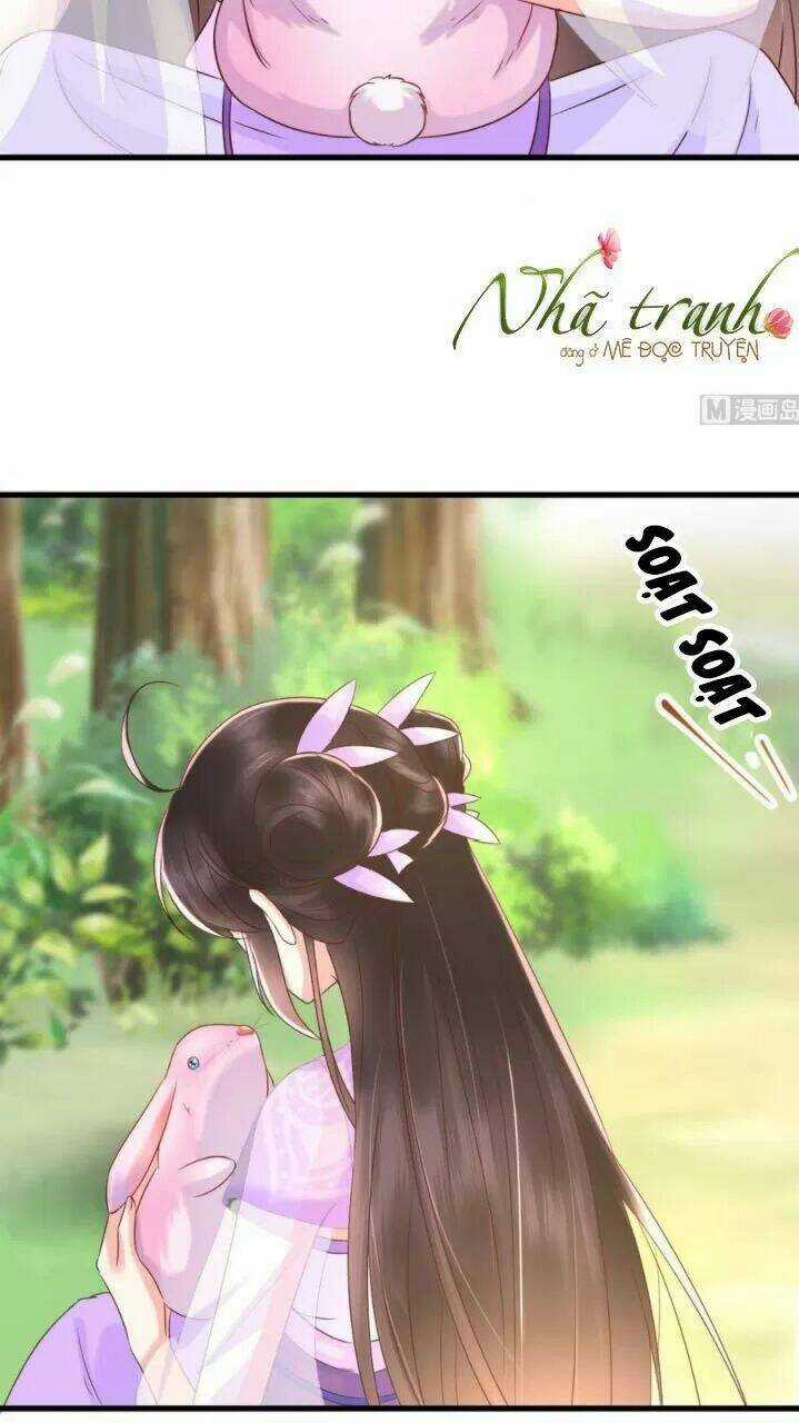 Độc Phi Ngu Ngốc Không Thể Chọc Chapter 139 trang 16