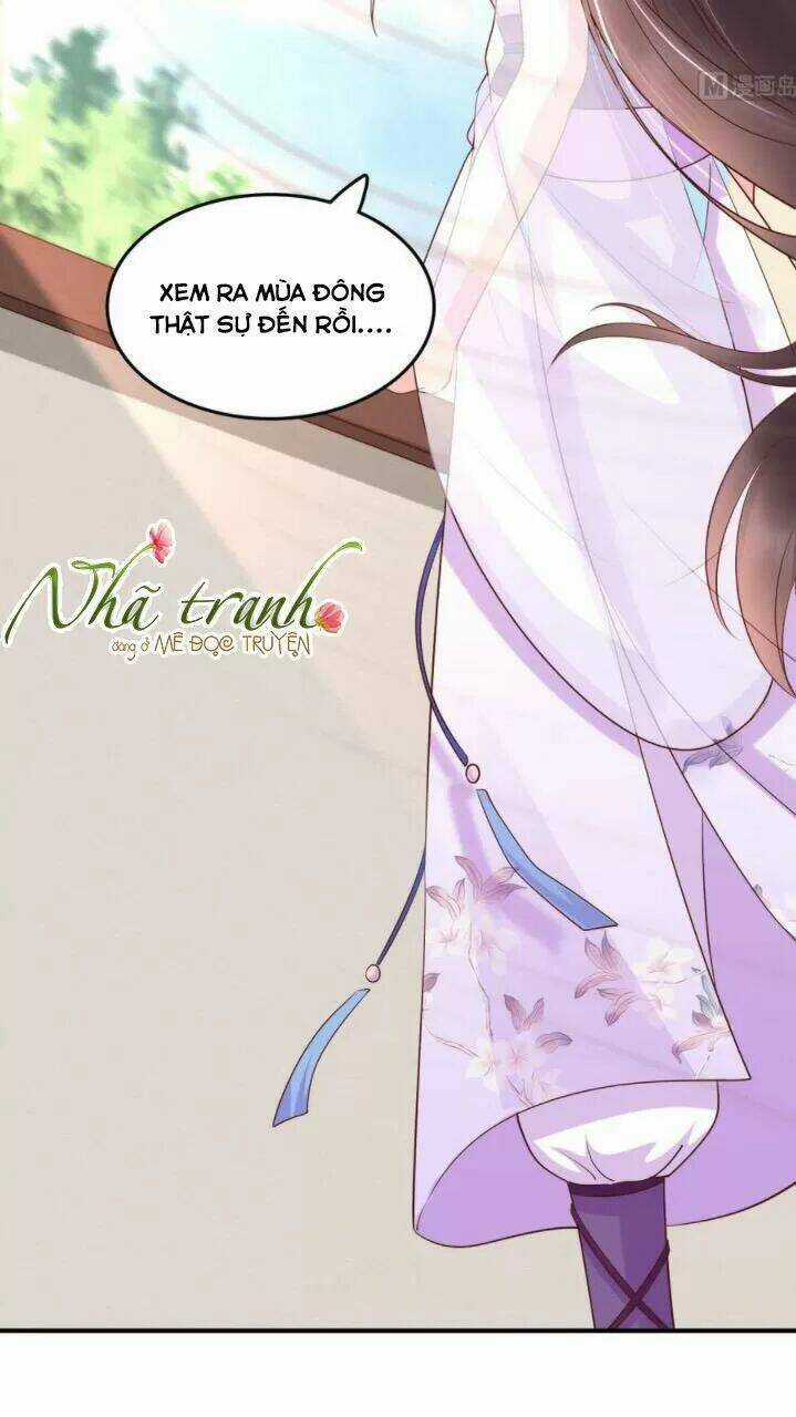 Độc Phi Ngu Ngốc Không Thể Chọc Chapter 142 trang 12