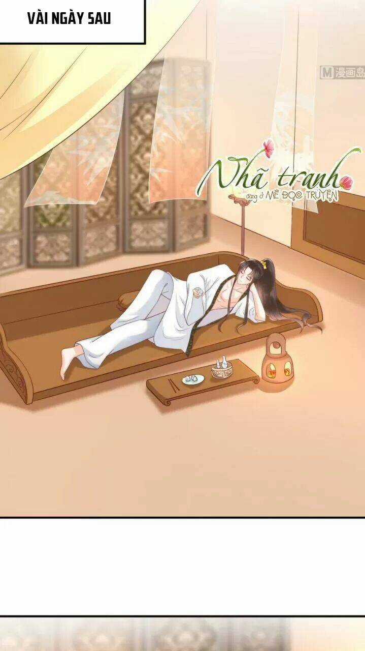 Độc Phi Ngu Ngốc Không Thể Chọc Chapter 143 trang 16