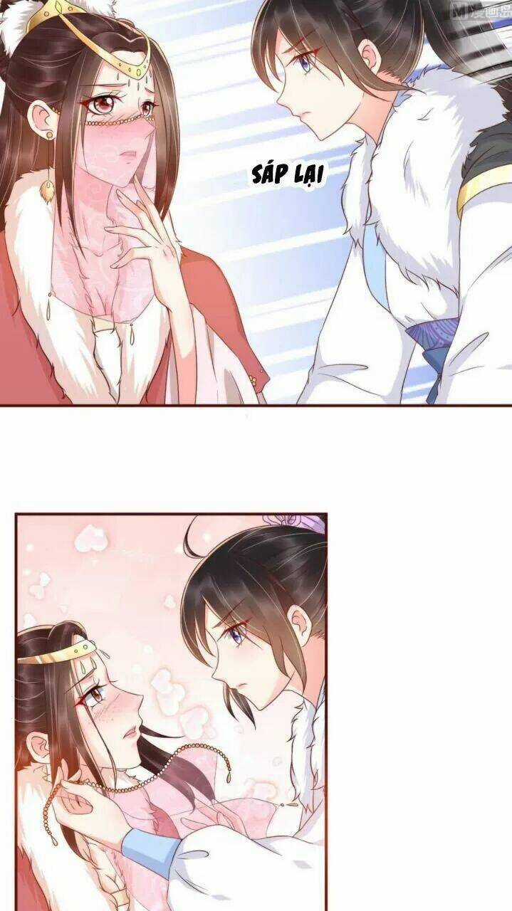 Độc Phi Ngu Ngốc Không Thể Chọc Chapter 144 trang 7