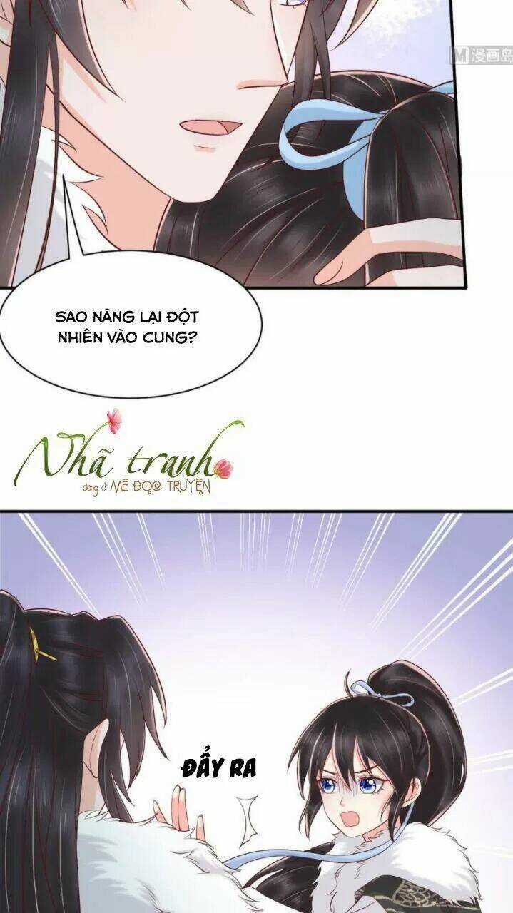 Độc Phi Ngu Ngốc Không Thể Chọc Chapter 146 trang 12