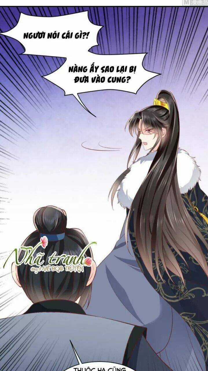 Độc Phi Ngu Ngốc Không Thể Chọc Chapter 146 trang 5