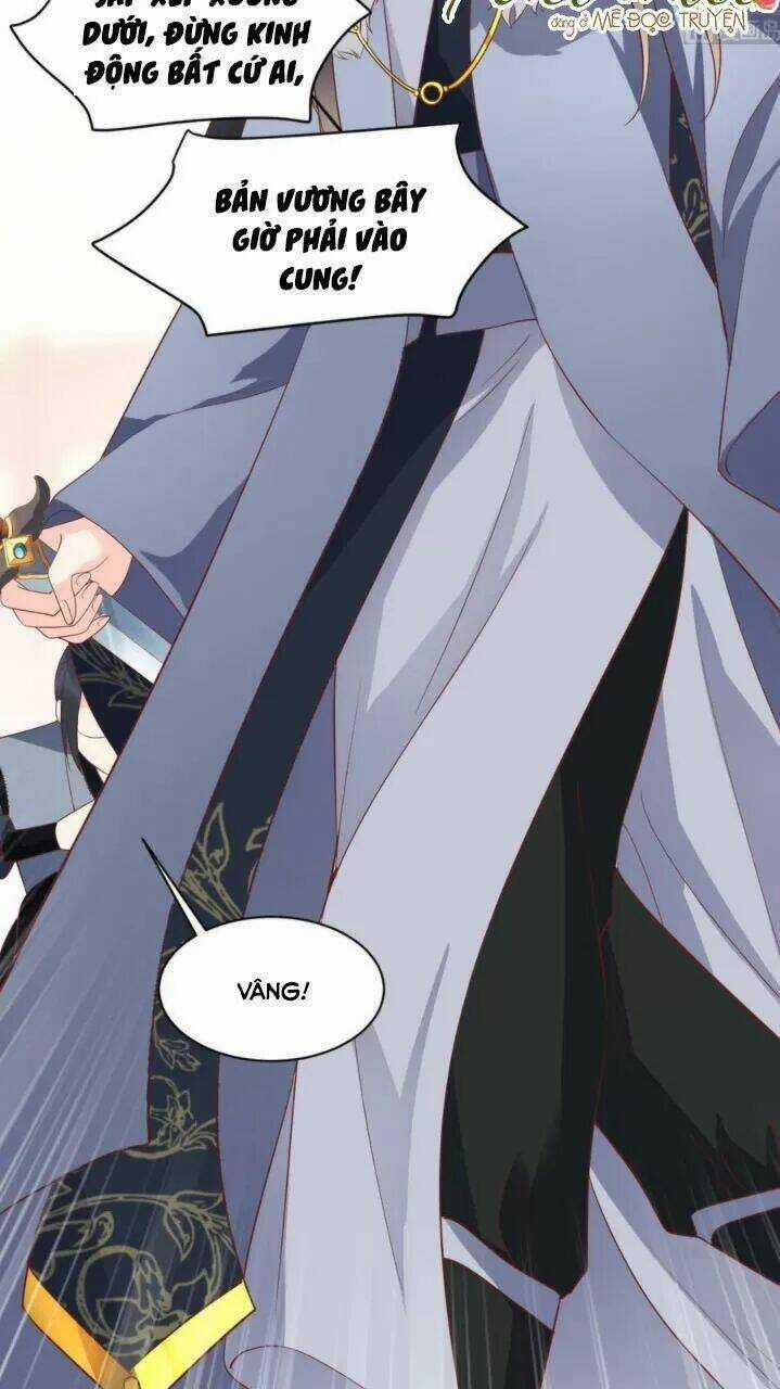 Độc Phi Ngu Ngốc Không Thể Chọc Chapter 146 trang 7