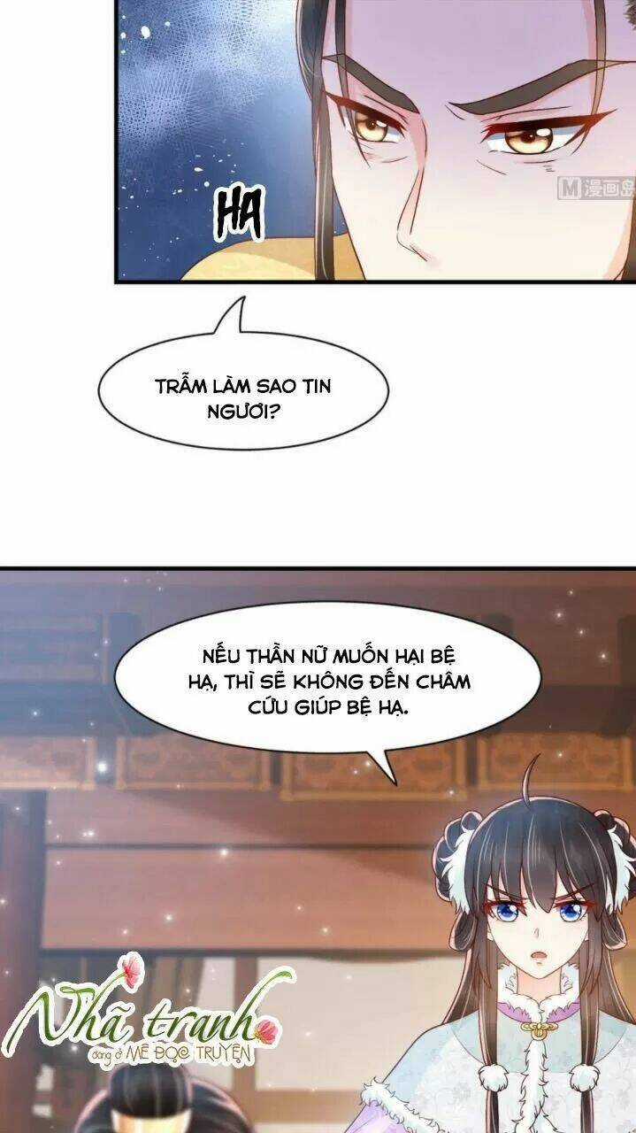 Độc Phi Ngu Ngốc Không Thể Chọc Chapter 148 trang 16