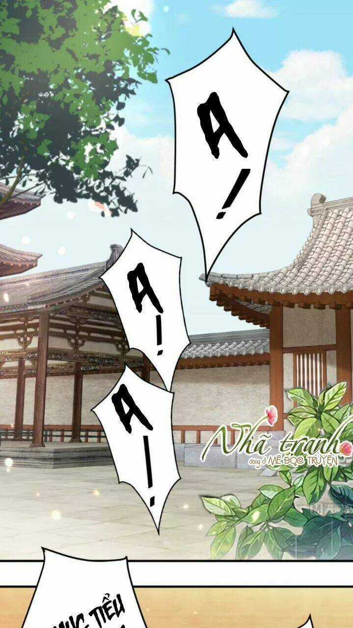 Độc Phi Ngu Ngốc Không Thể Chọc Chapter 155 trang 24