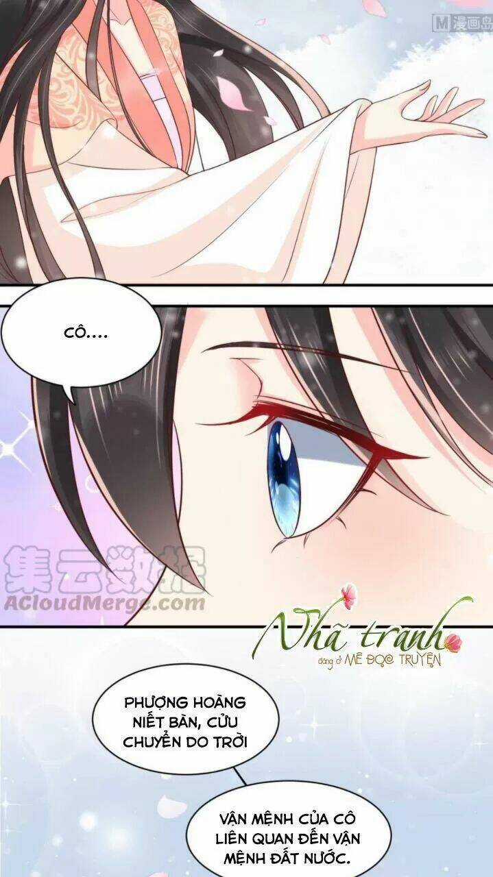 Độc Phi Ngu Ngốc Không Thể Chọc Chapter 155 trang 7