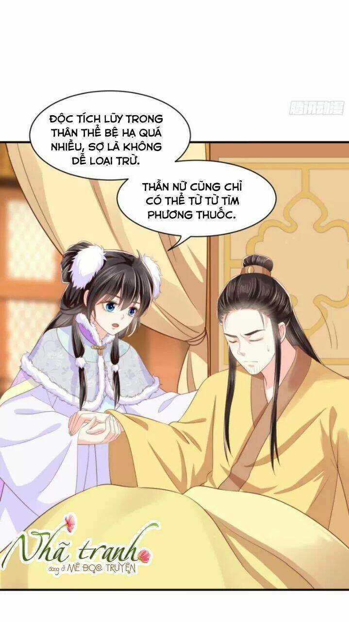 Độc Phi Ngu Ngốc Không Thể Chọc Chapter 156 trang 19