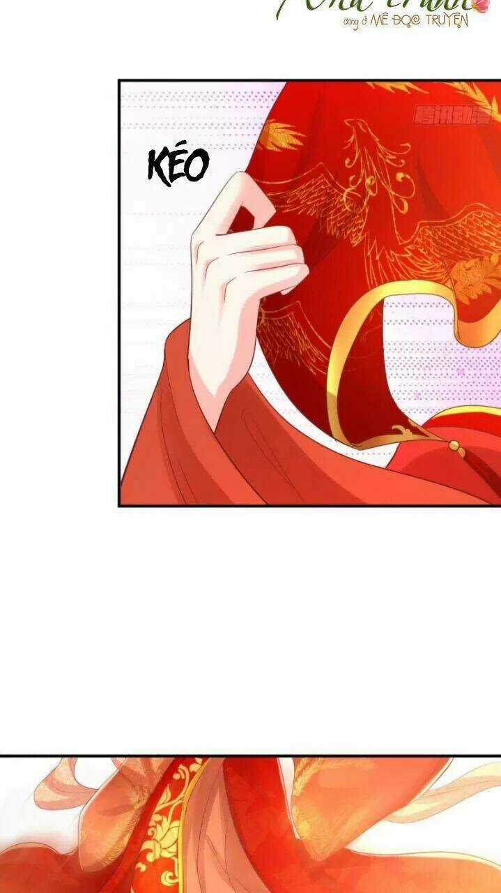 Độc Phi Ngu Ngốc Không Thể Chọc Chapter 161 trang 14