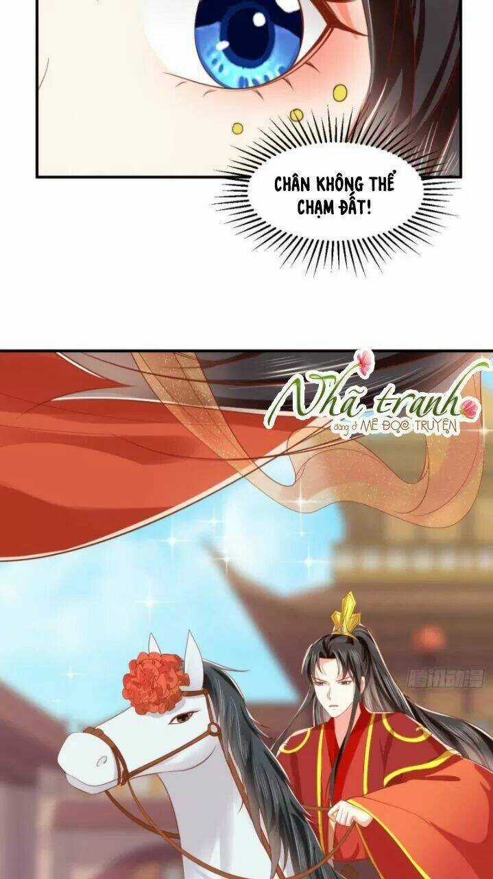 Độc Phi Ngu Ngốc Không Thể Chọc Chapter 161 trang 28