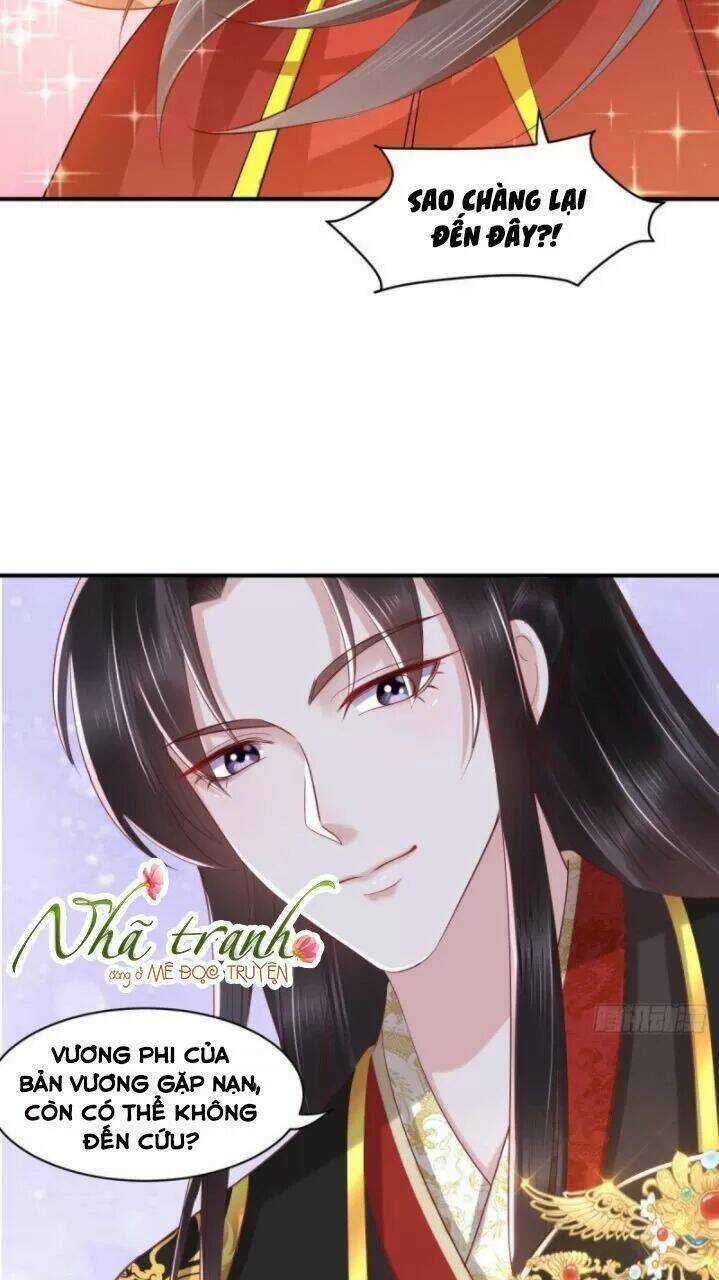 Độc Phi Ngu Ngốc Không Thể Chọc Chapter 161 trang 31