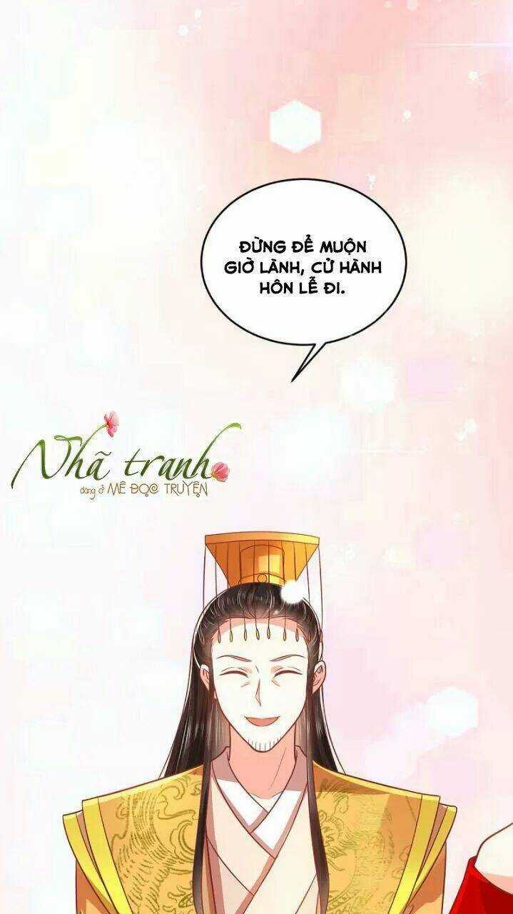 Độc Phi Ngu Ngốc Không Thể Chọc Chapter 162 trang 14
