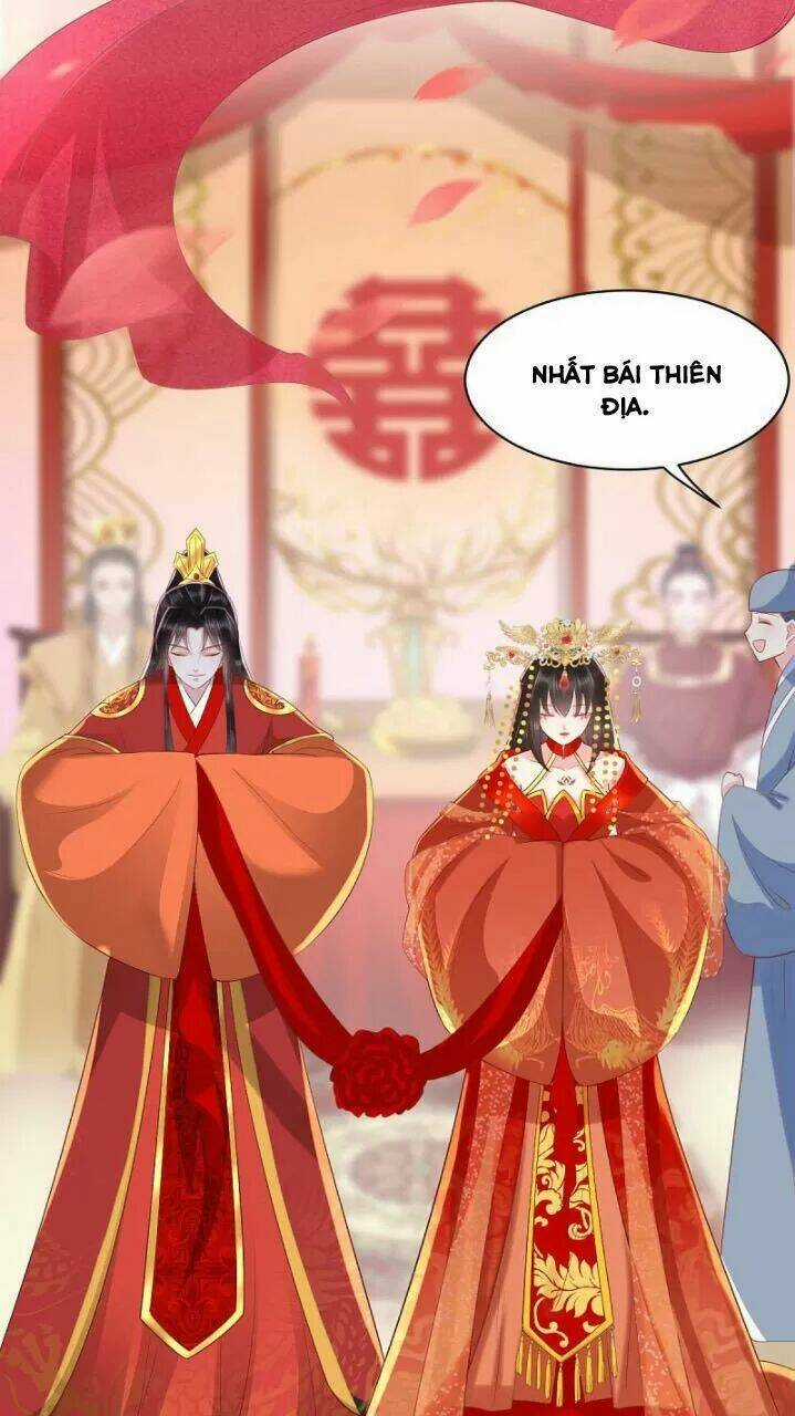Độc Phi Ngu Ngốc Không Thể Chọc Chapter 162 trang 17