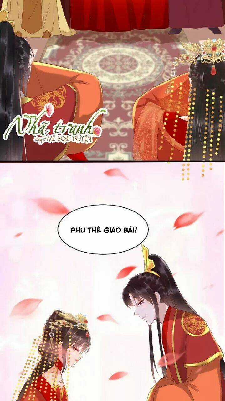 Độc Phi Ngu Ngốc Không Thể Chọc Chapter 162 trang 19