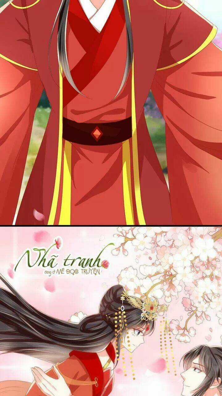 Độc Phi Ngu Ngốc Không Thể Chọc Chapter 162 trang 4