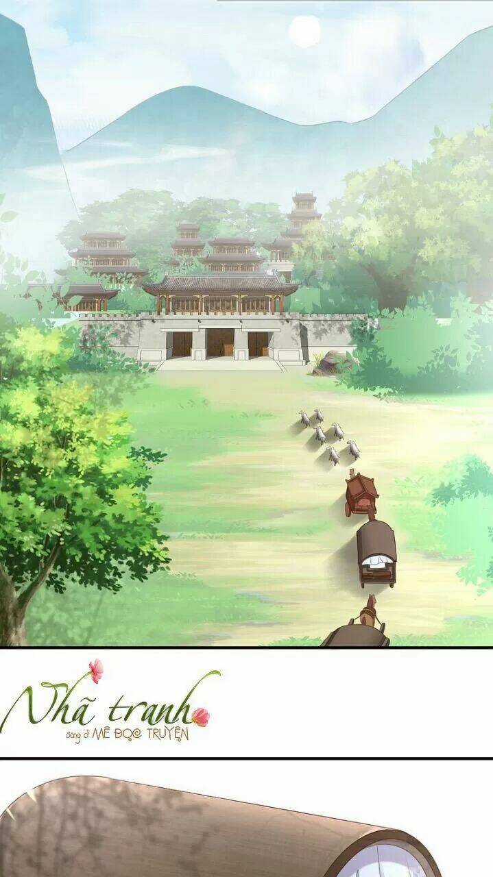 Độc Phi Ngu Ngốc Không Thể Chọc Chapter 166 trang 12