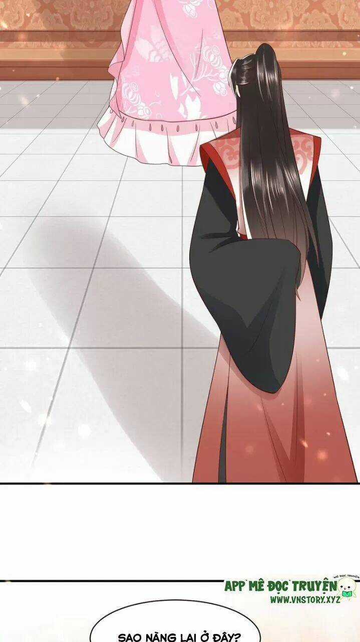 Độc Phi Ngu Ngốc Không Thể Chọc Chapter 168 trang 36